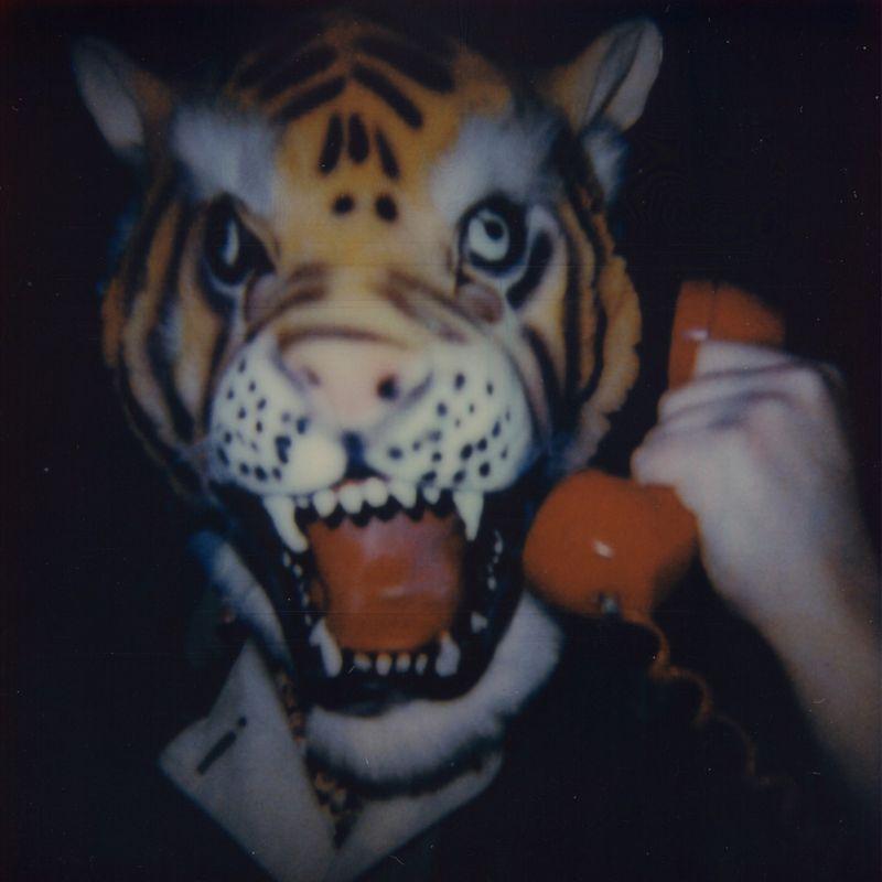 LANGUAGE LTD.