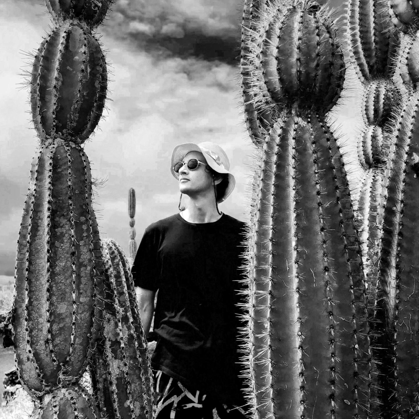 Zion Cactus