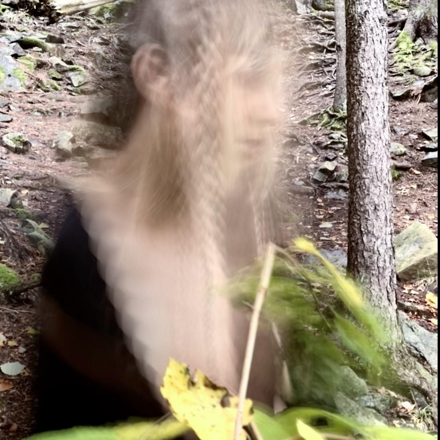 Anémi