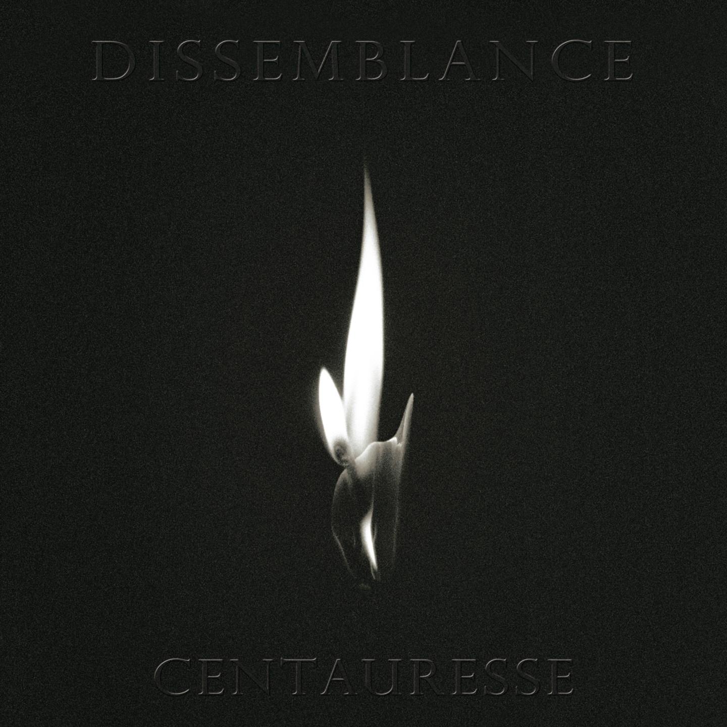 Dissemblance