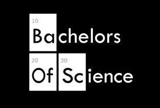 Bachelors Of Science