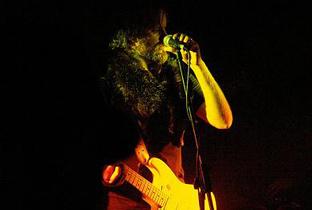 Woolfy
