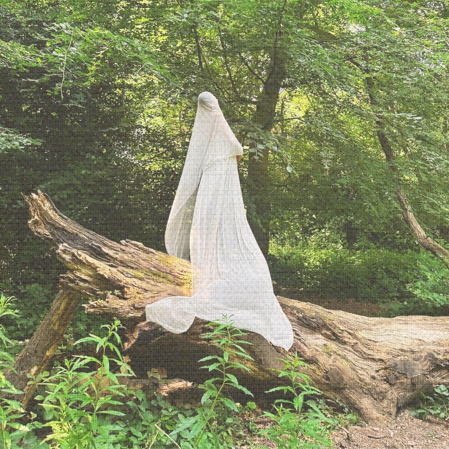 Veil Error