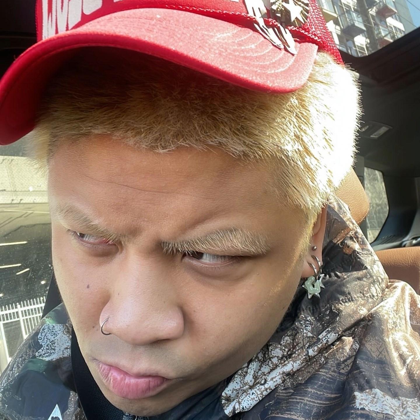 Fanndemm