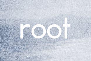 Root (DE)