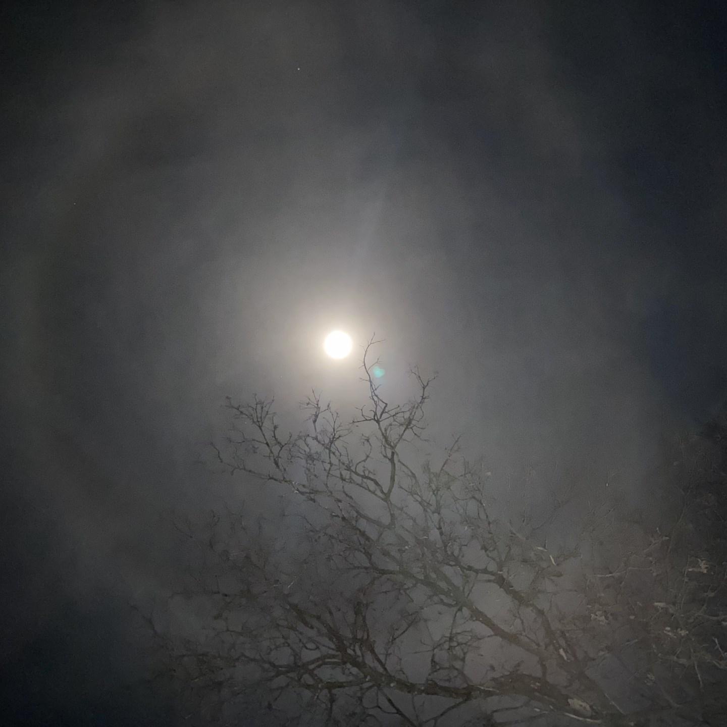 Mooncloud