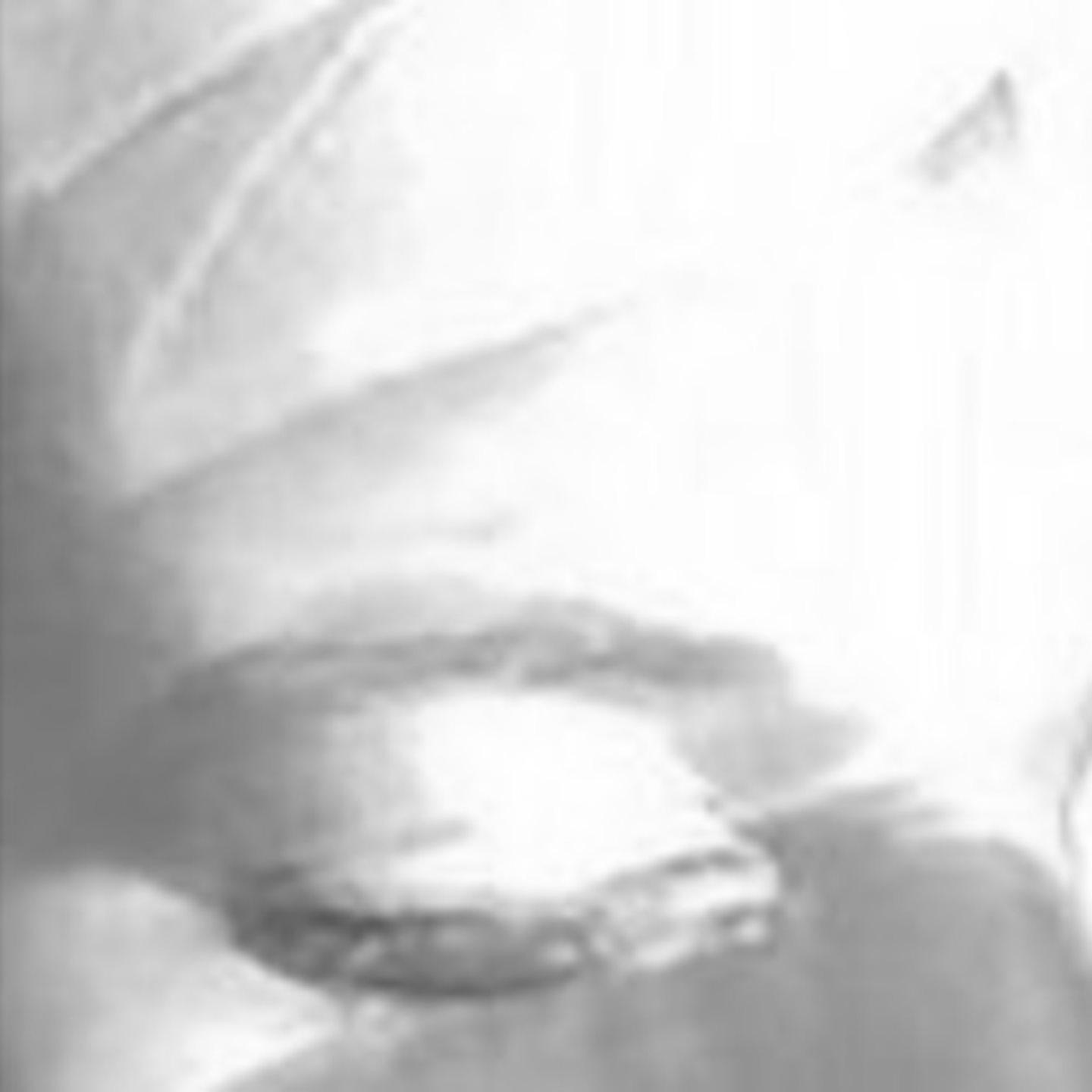 Vida Vojić