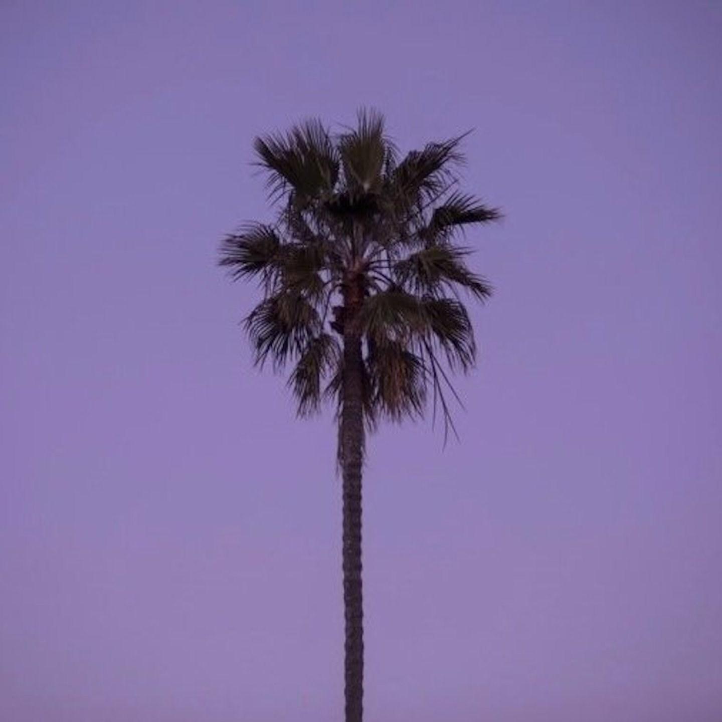 Semo