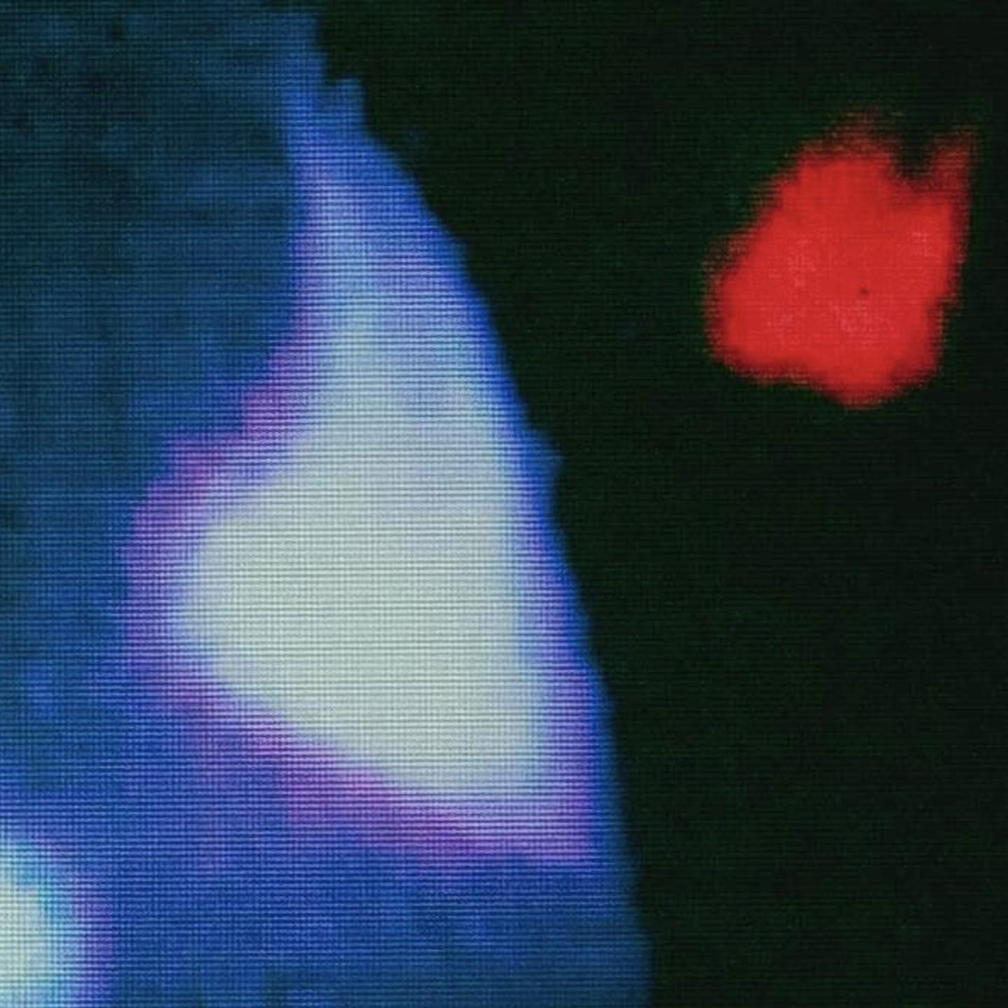 KUDZU AUDIO