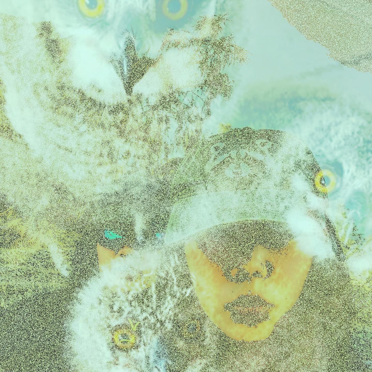 SeaSluxx