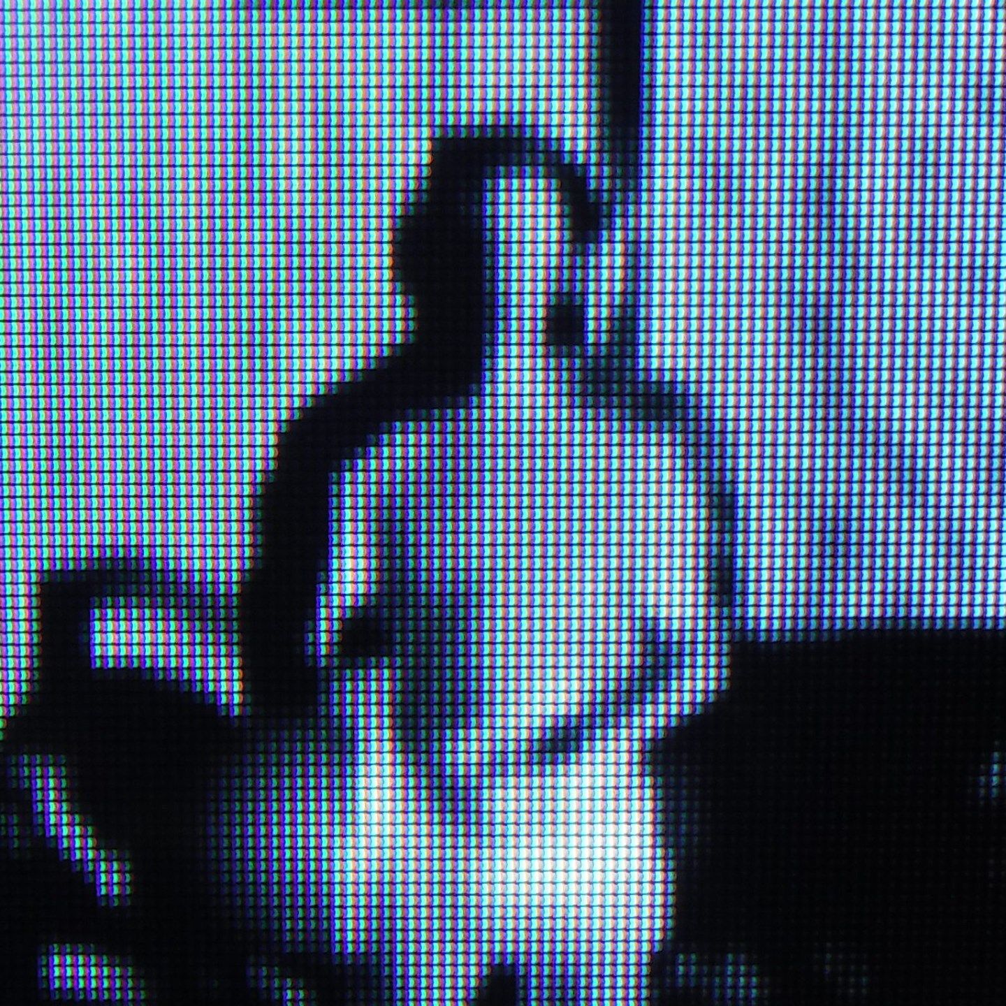 protman