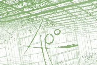 Aponogeton