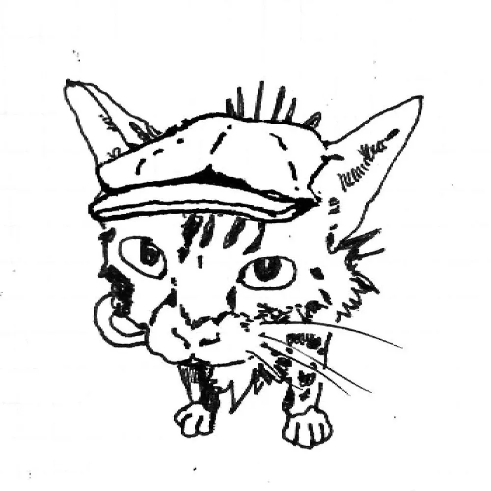 Don Gato