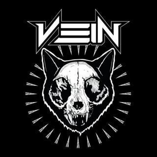 VEIN