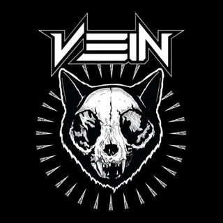 VEIN