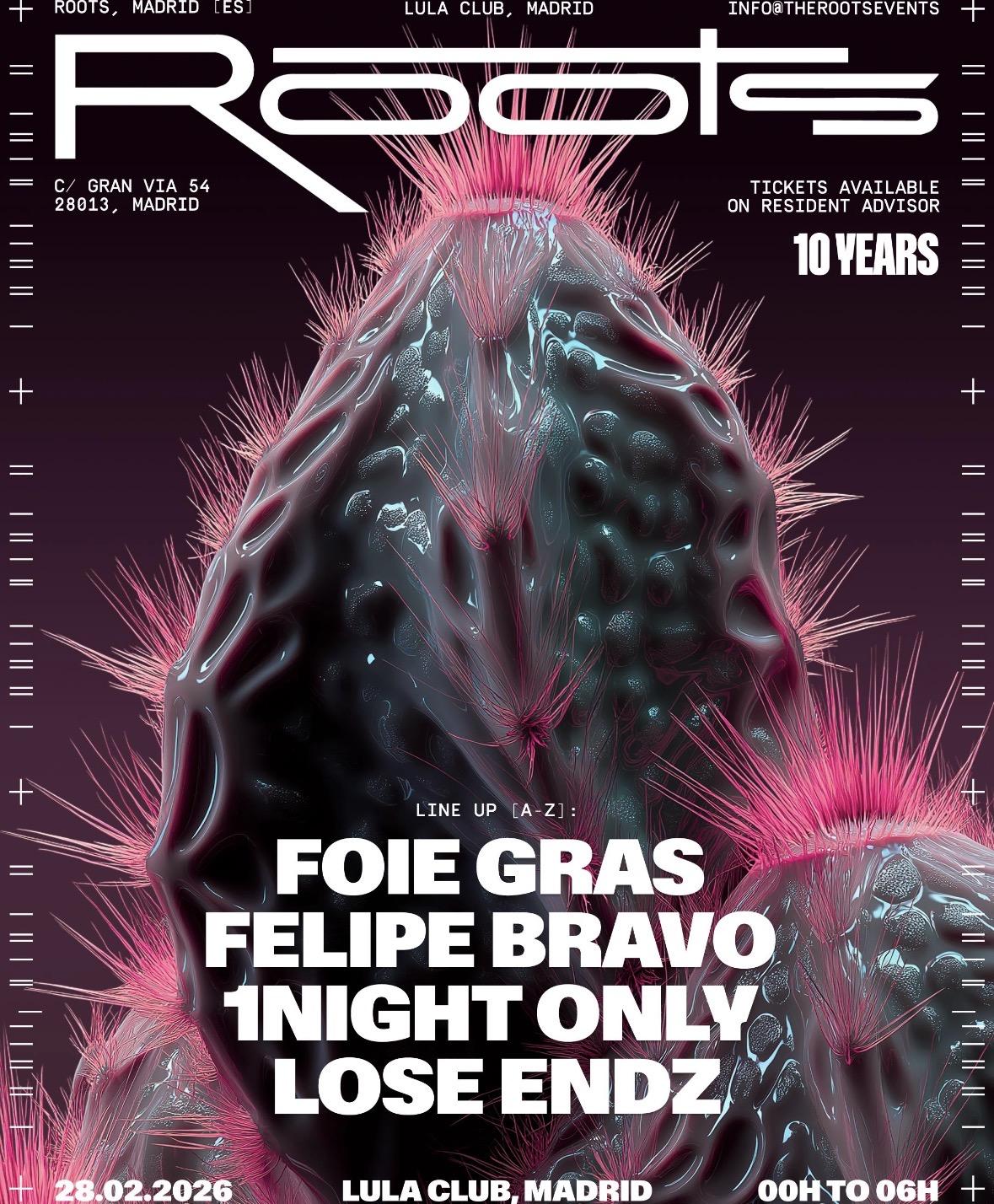 10 Years Of Roots