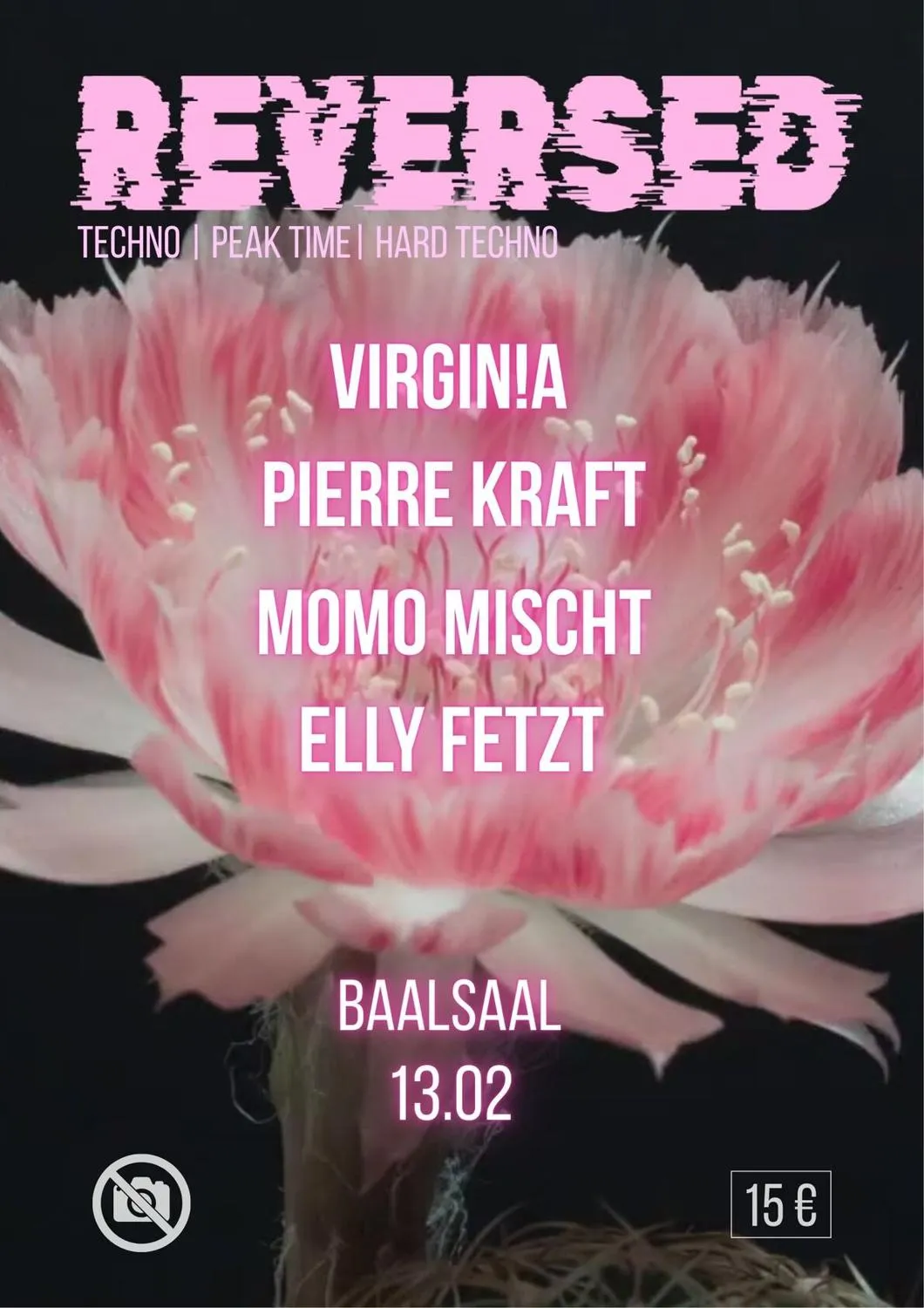 Reversed (With Virgin!A, Pierre Kraft, Momo Mischt, Elly Fetzt)