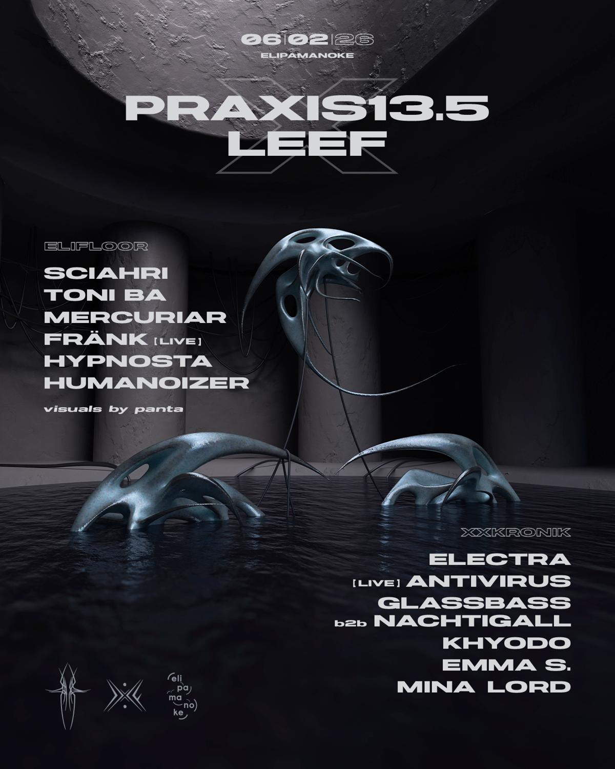 Praxis13.5 X Leef