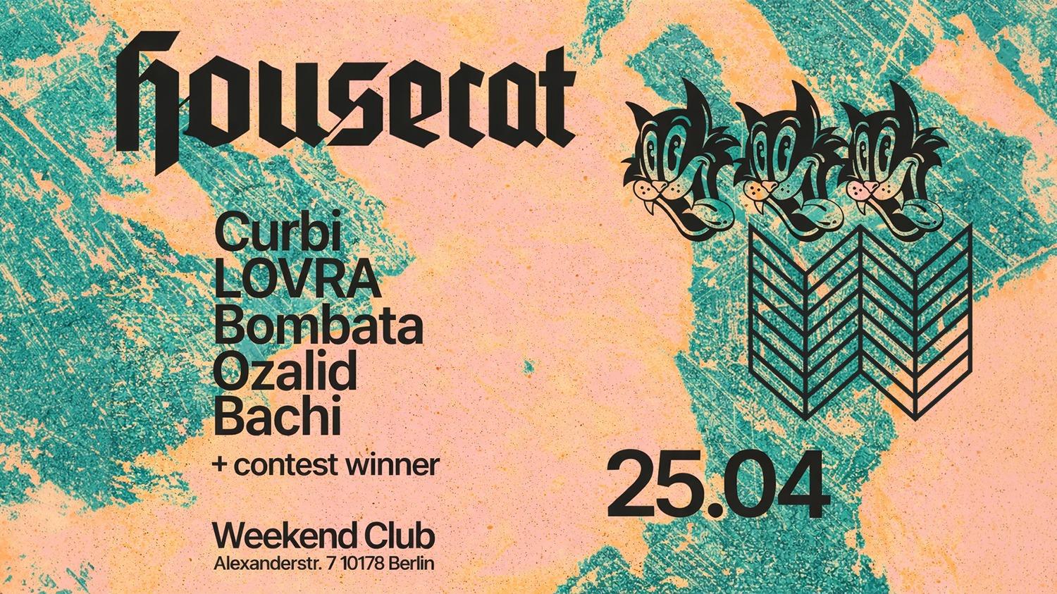 Housecat W/ Curbi, Lovra & Bombata
