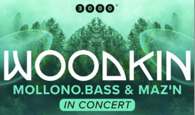 Woodkin In Concert
