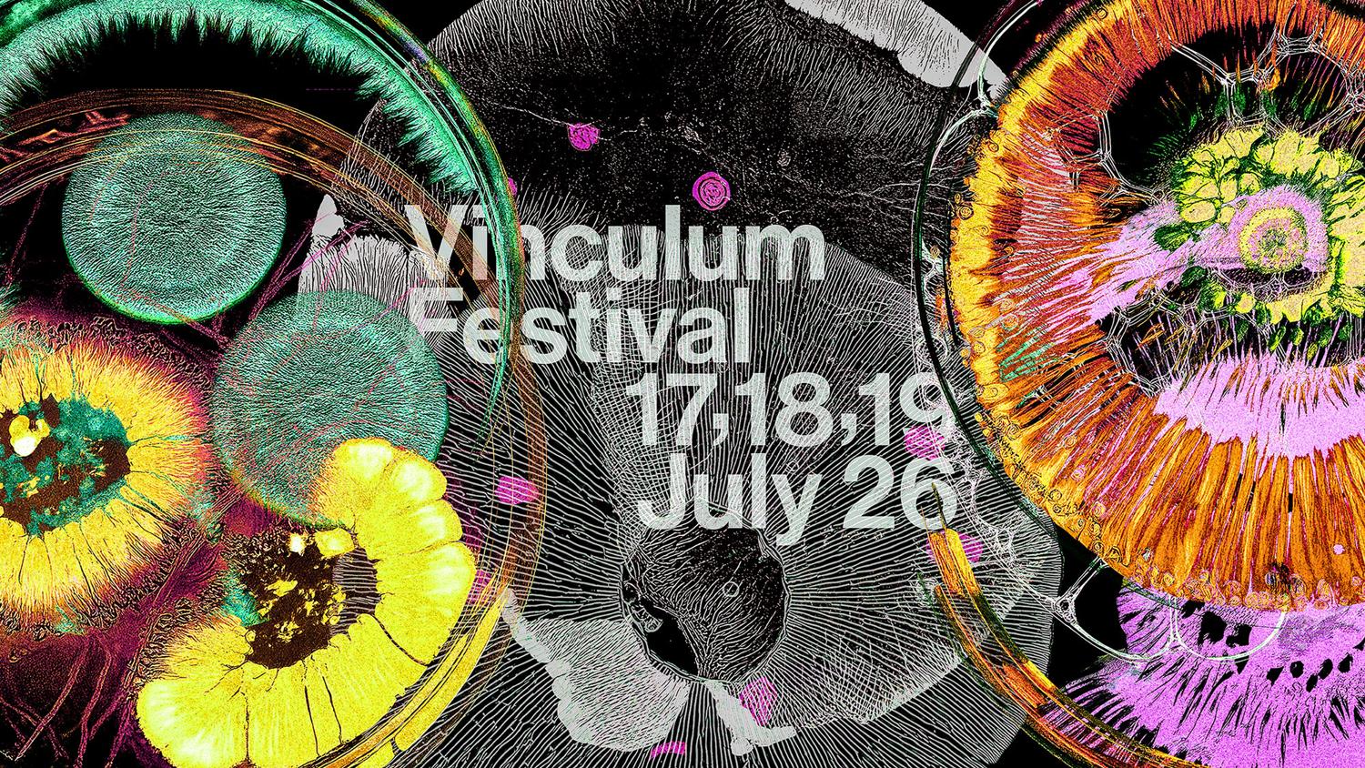 Vinculum Festival 2026
