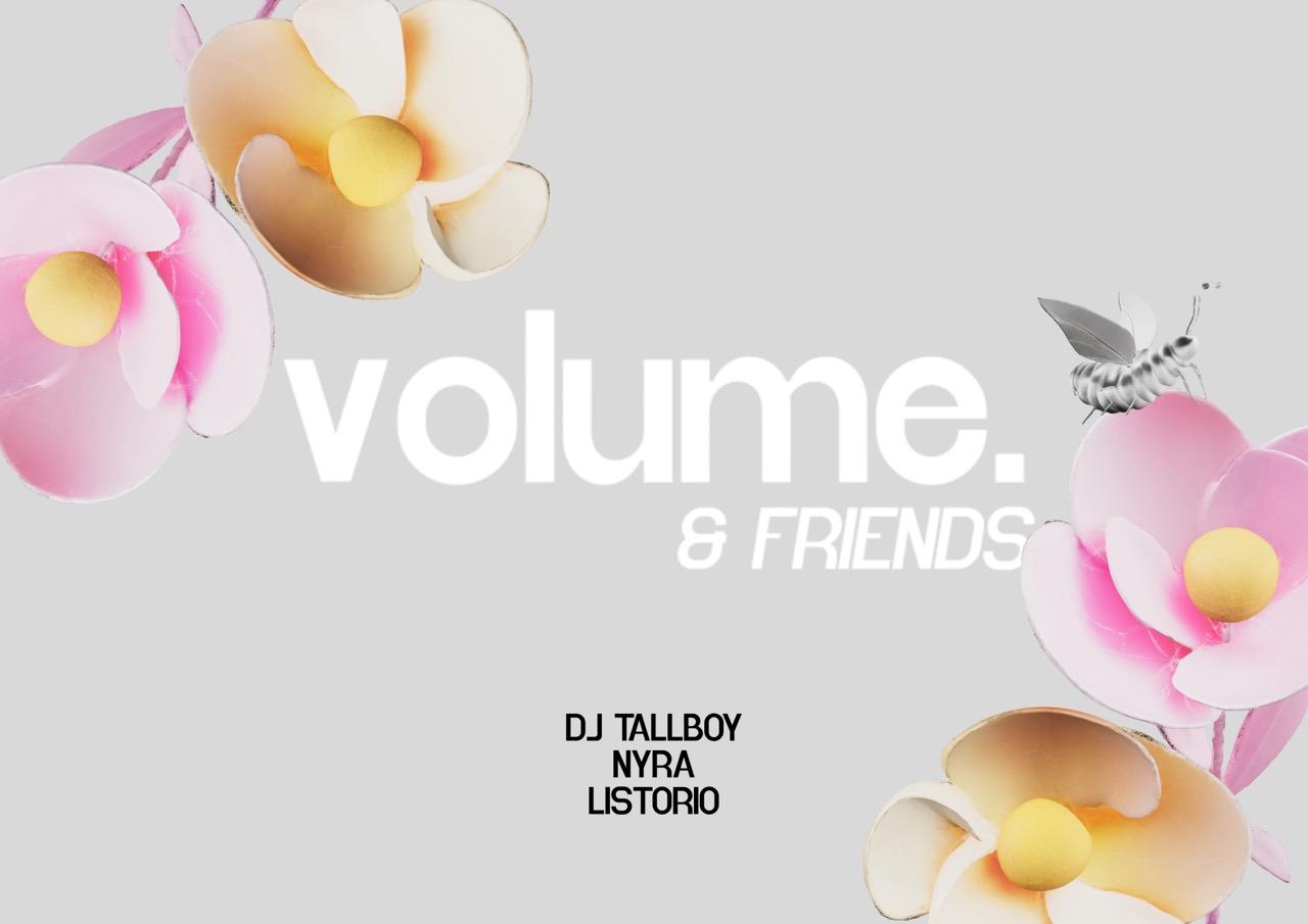 Volume & Friends - Rave In Den Mai