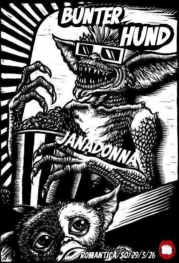Bunter Hund Am Sonntag Mit Janadonna