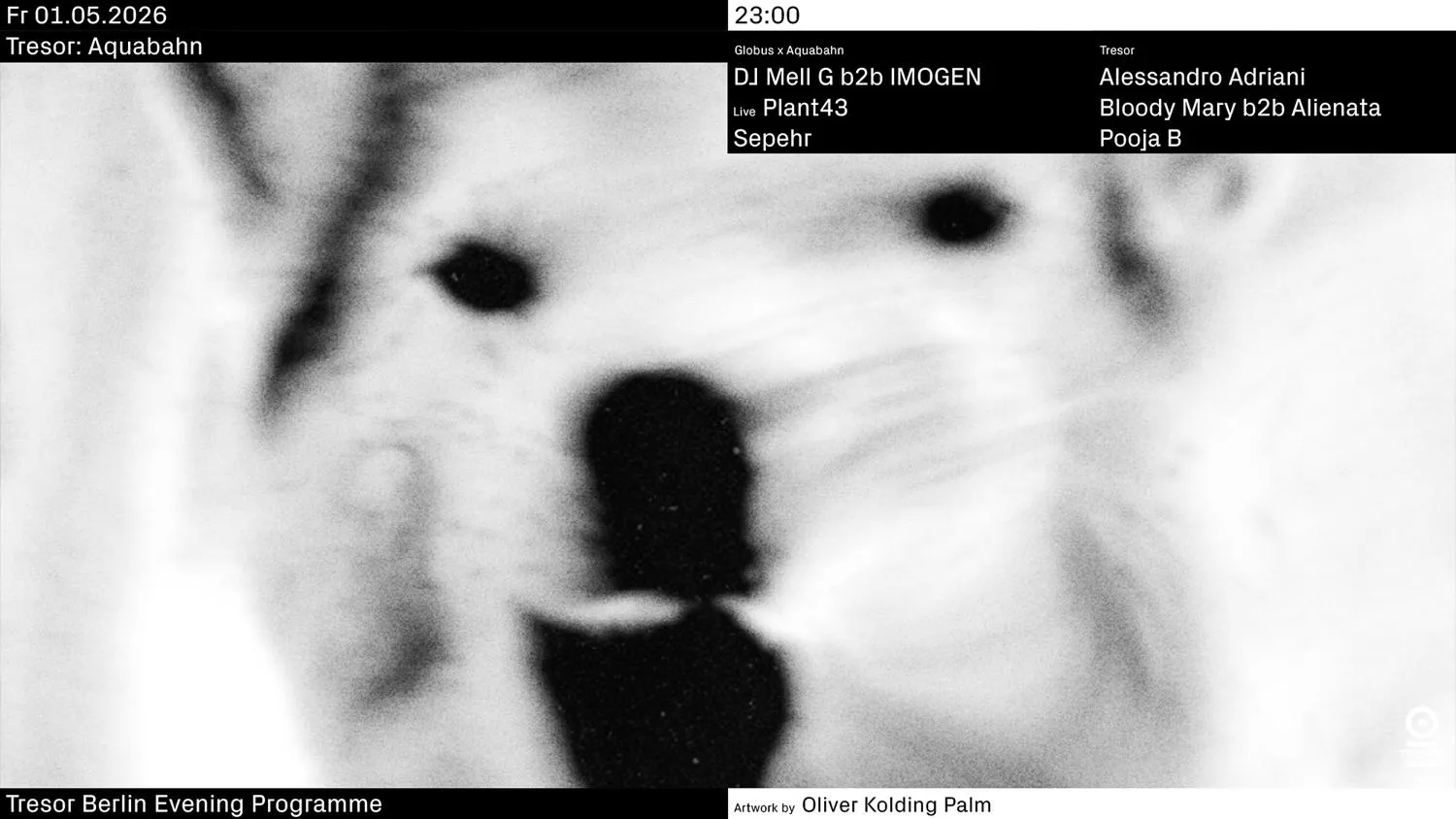 Tresor: Aquabahn