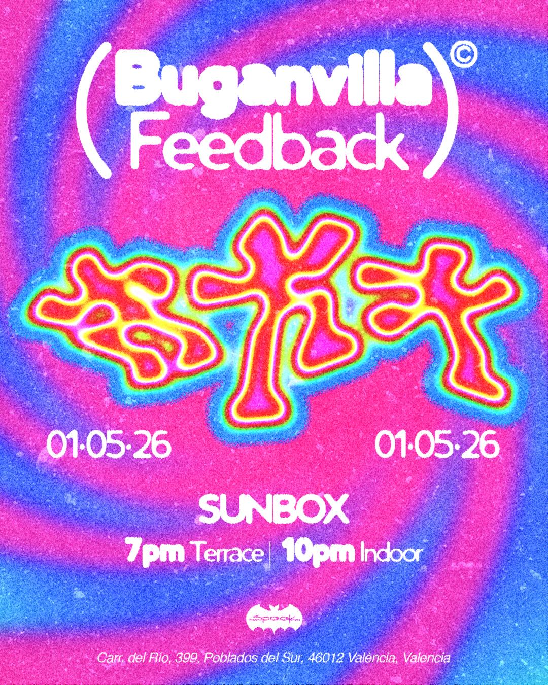 Buganvilla & Feedback @ Spook Terraza Sunbox