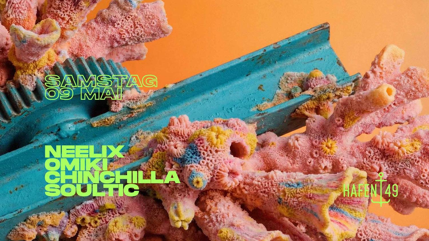 Hafen 49: Neelix, Omiki, Chinchilla, Soultic