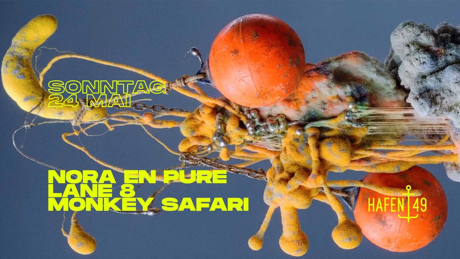 Hafen 49: Nora En Pure, Lane 8, Monkey Safari