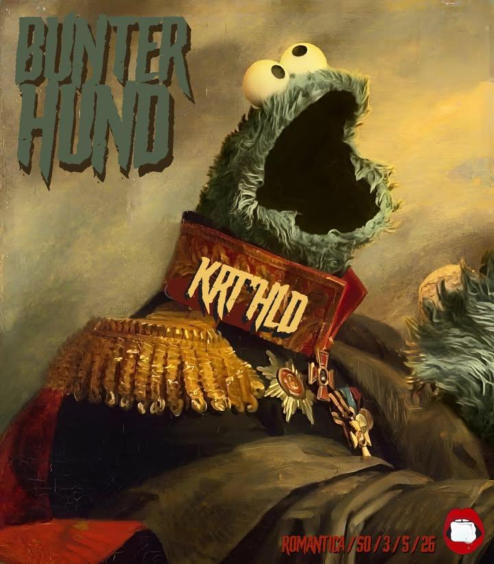 Bunter Hund Am Sonntag Mit Krt*Hld