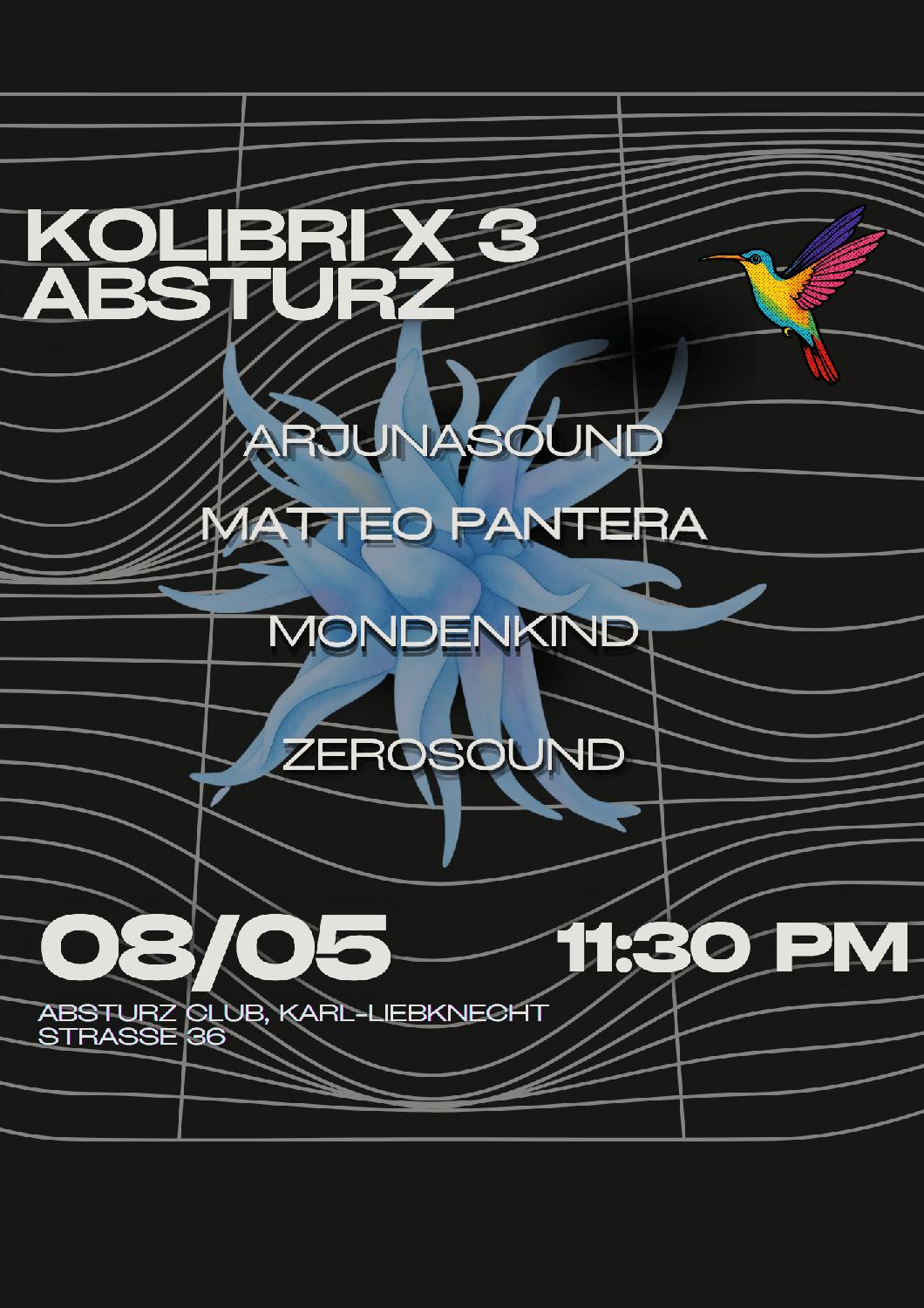 Kolibri X Absturz Vol. 3