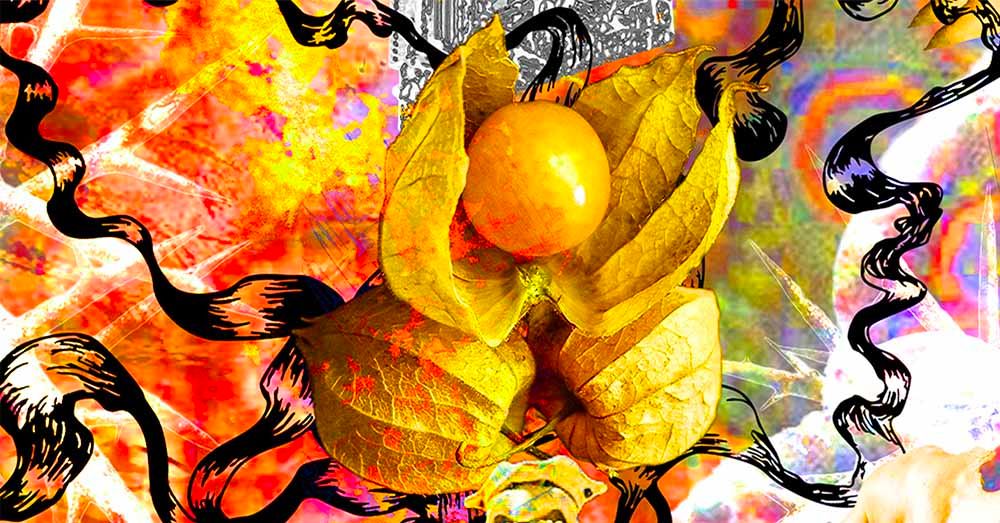 Gloria des Fiertés with Grace Open Air • Patrick Mason (special House set) ~ Dee Diggs ~ Roulit