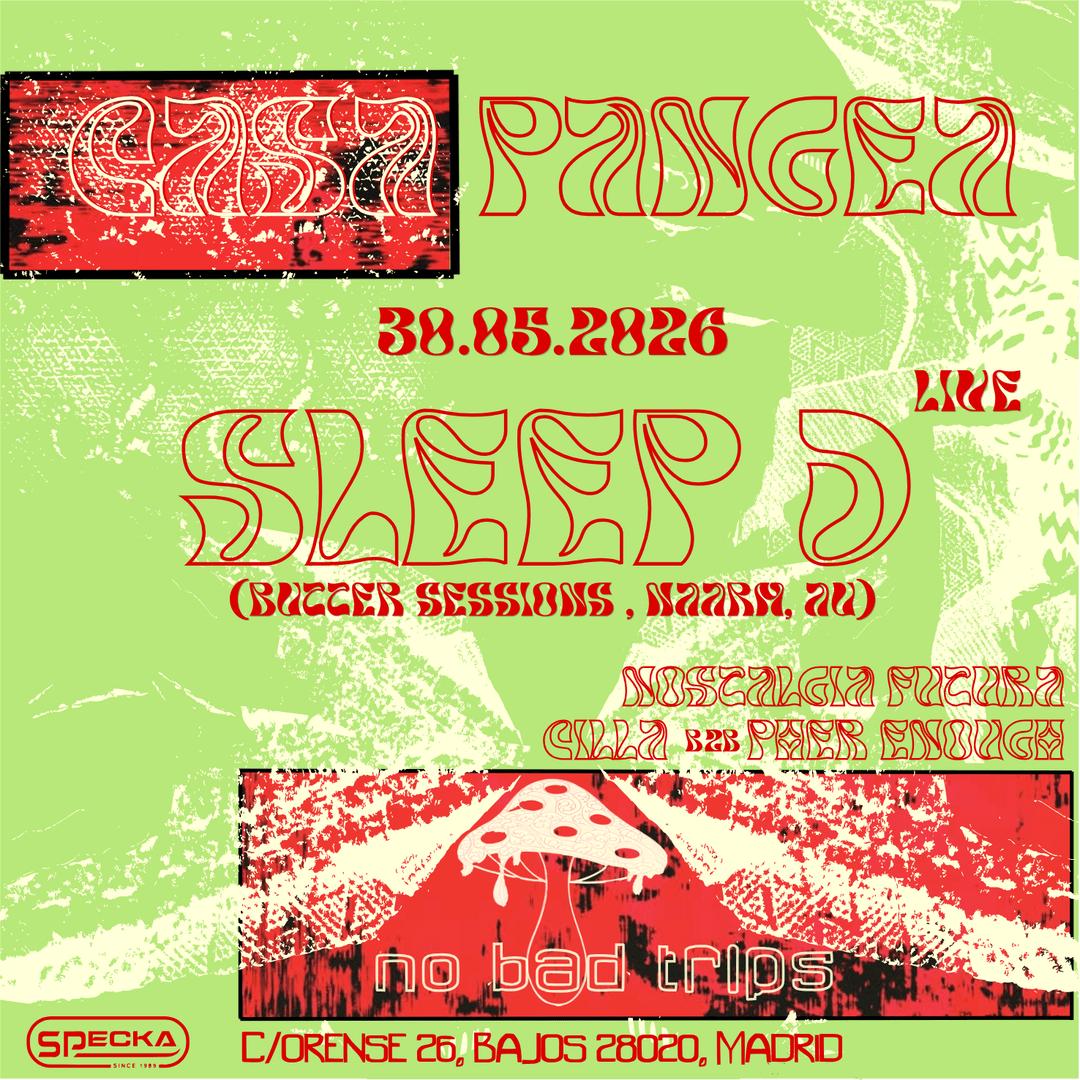 Sleep D I Casa Pangea