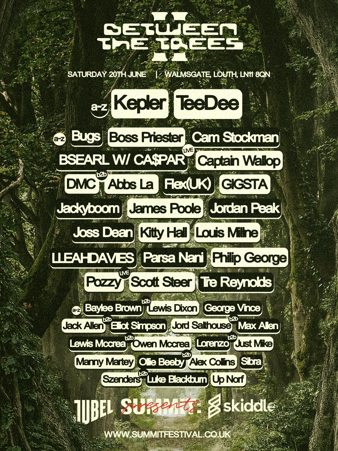 Summit Festival