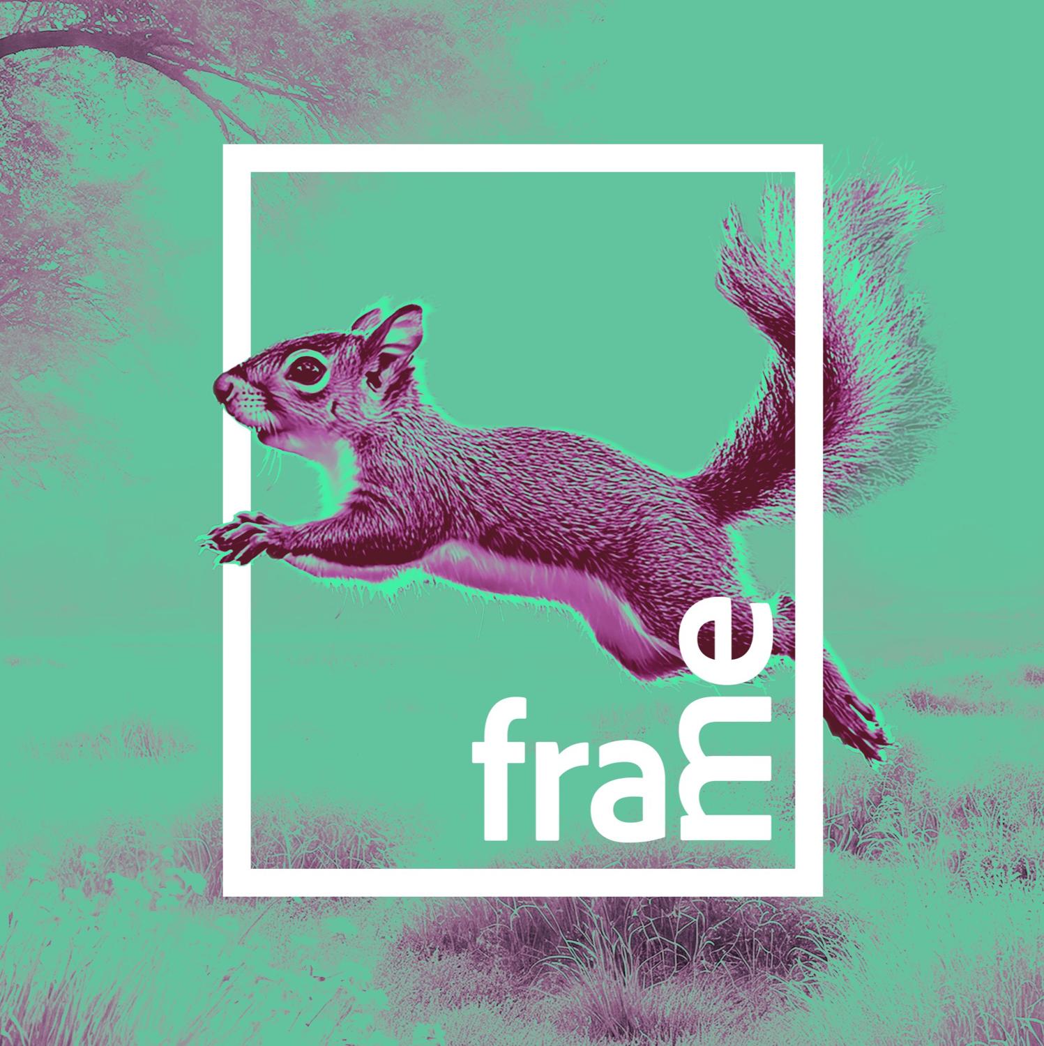 Frame