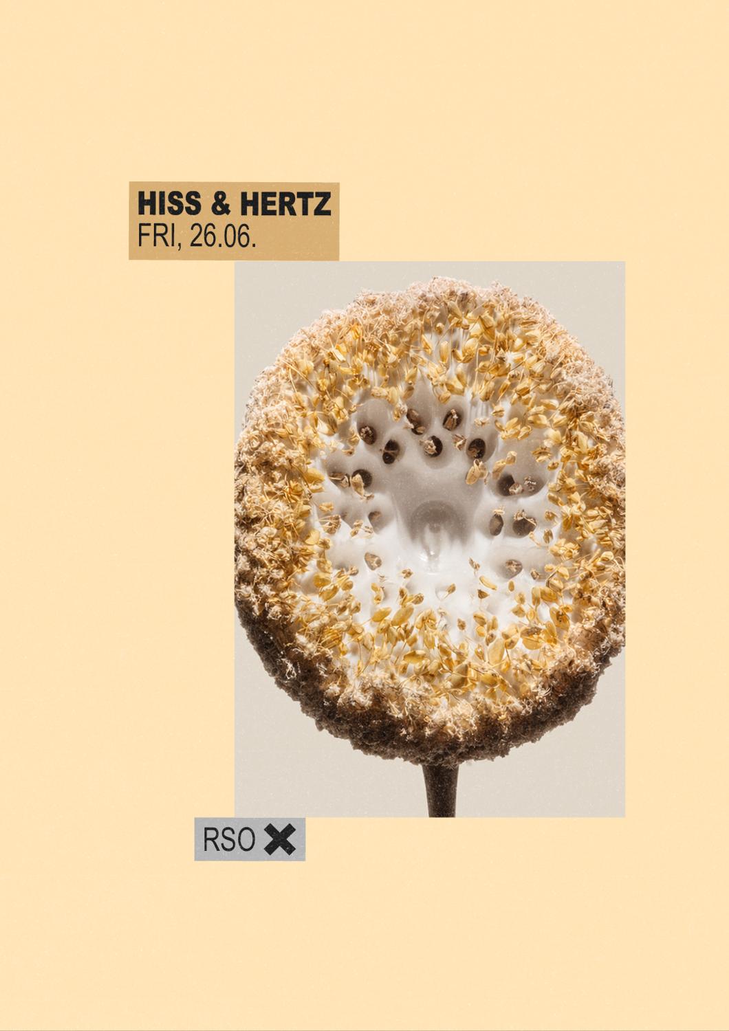 Hiss & Hertz W/ Colin Benders Live, Akua, Estella Boersma & Stephanie Sykes