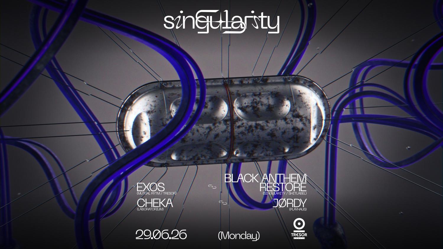 ◥◣Singularity◥◣