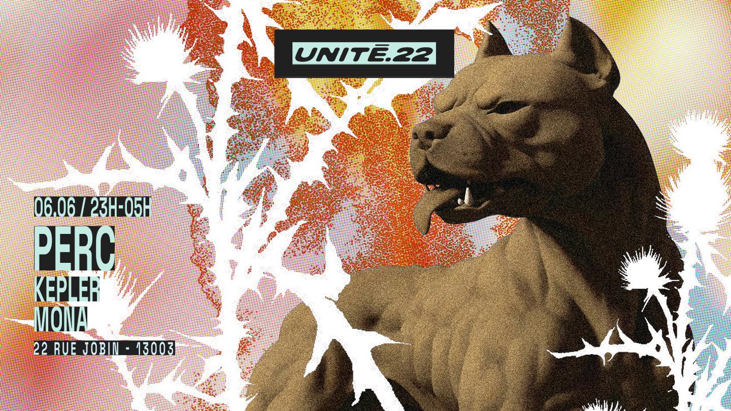 Unité.22: Perc, Kepler, Mona
