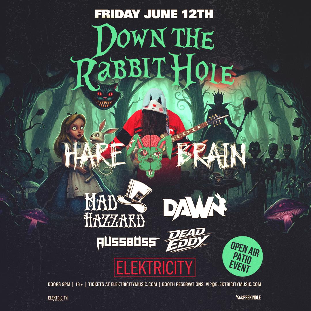 Down The Rabbit Hole