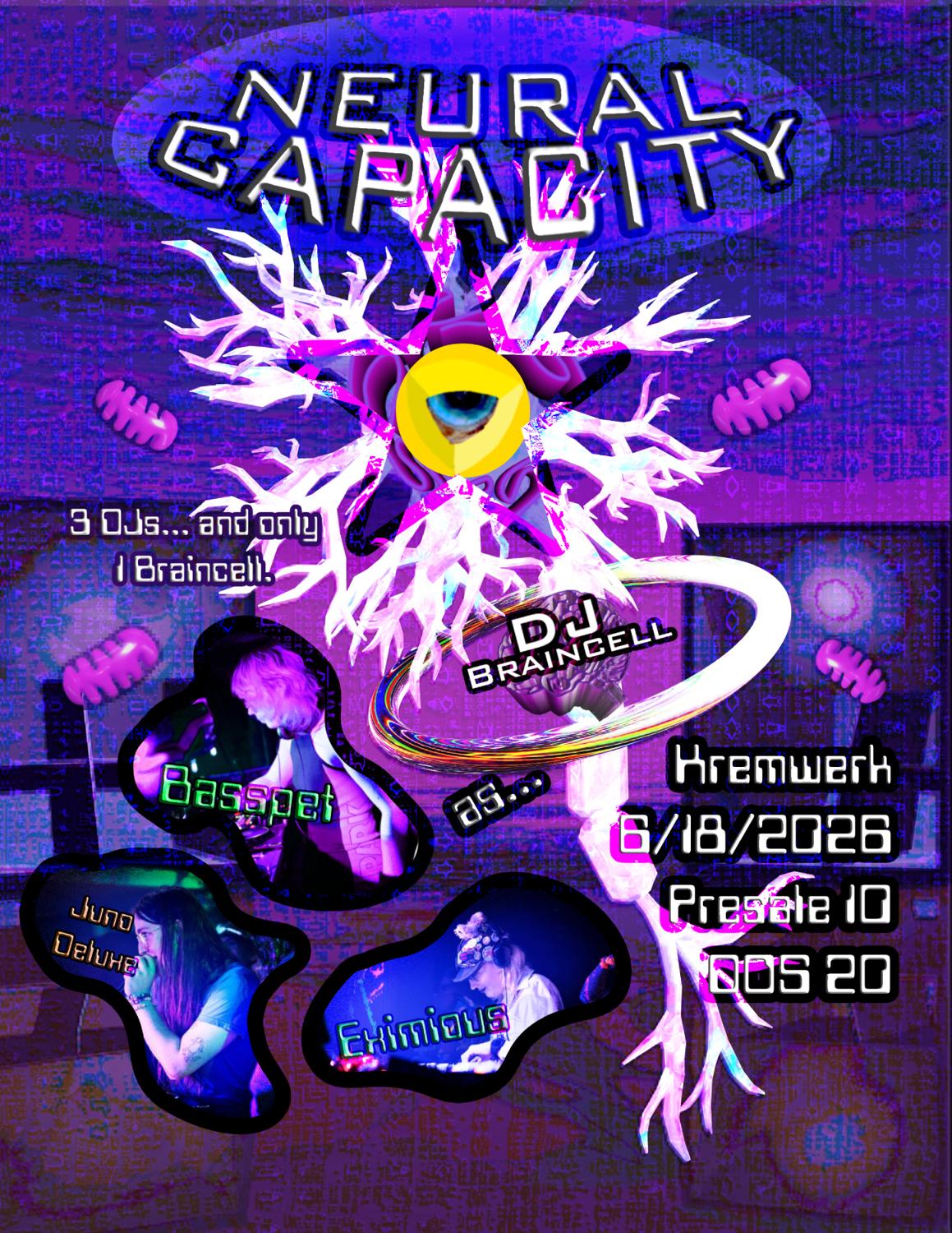 Neural Capacity