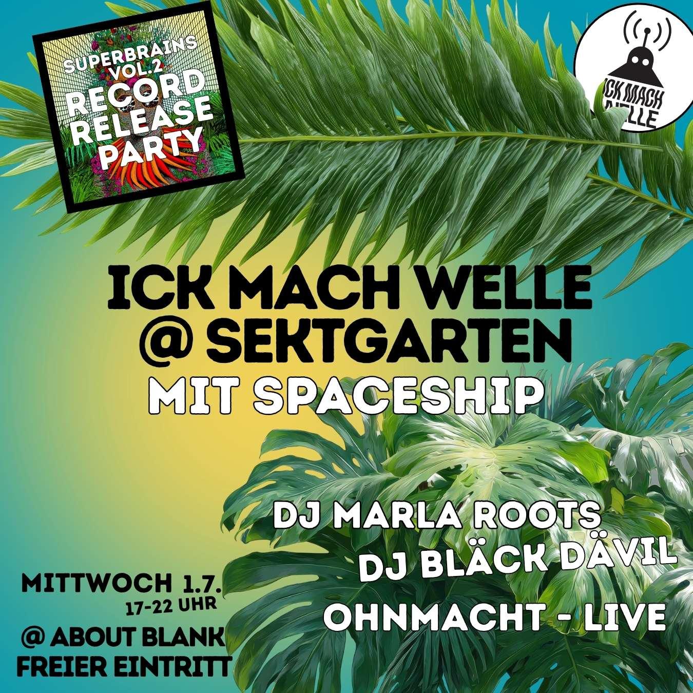 Ick Mach Welle X Spaceship