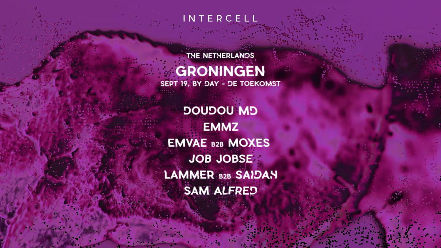 Intercell Groningen