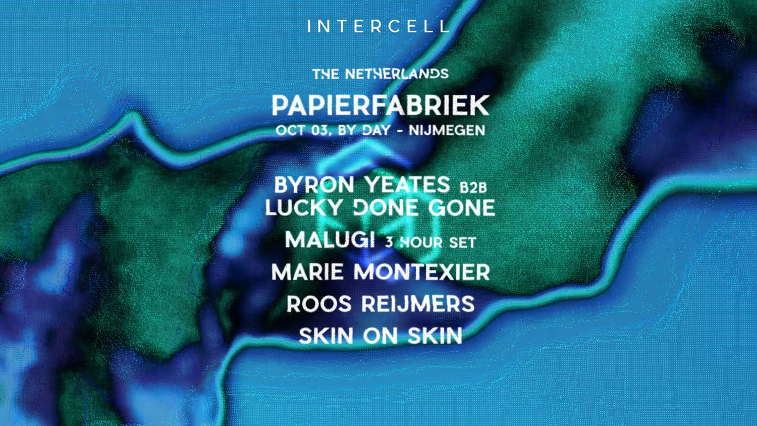 Intercell Papierfabriek