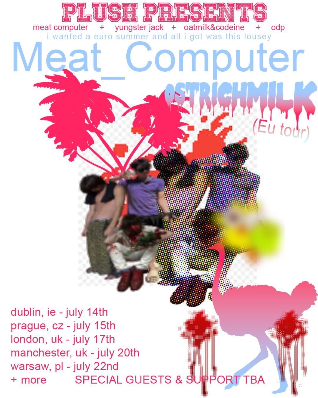 Plush Presents: Meat Computer Ostrichmilk (Live In Warsaw)