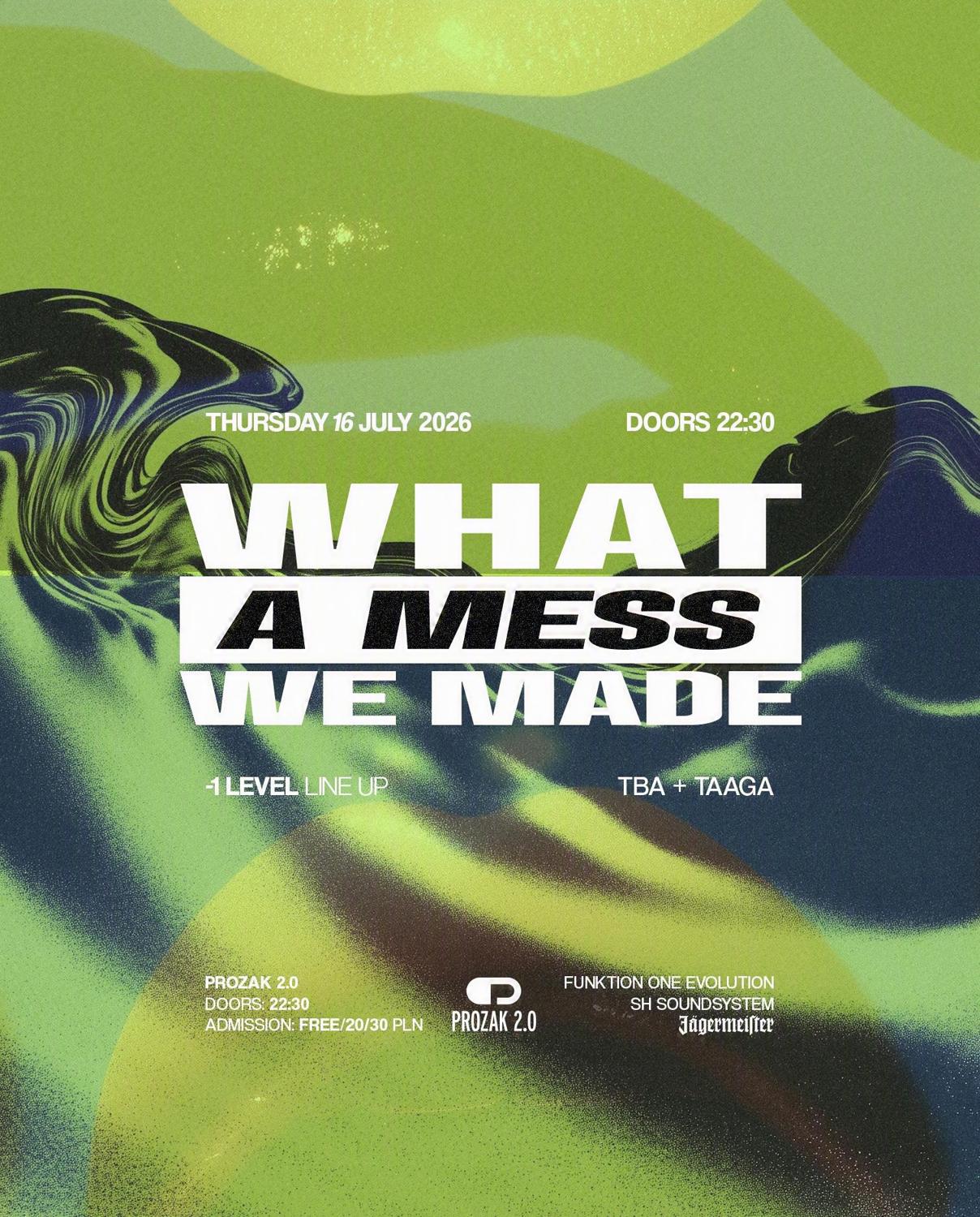What A Mess We Made