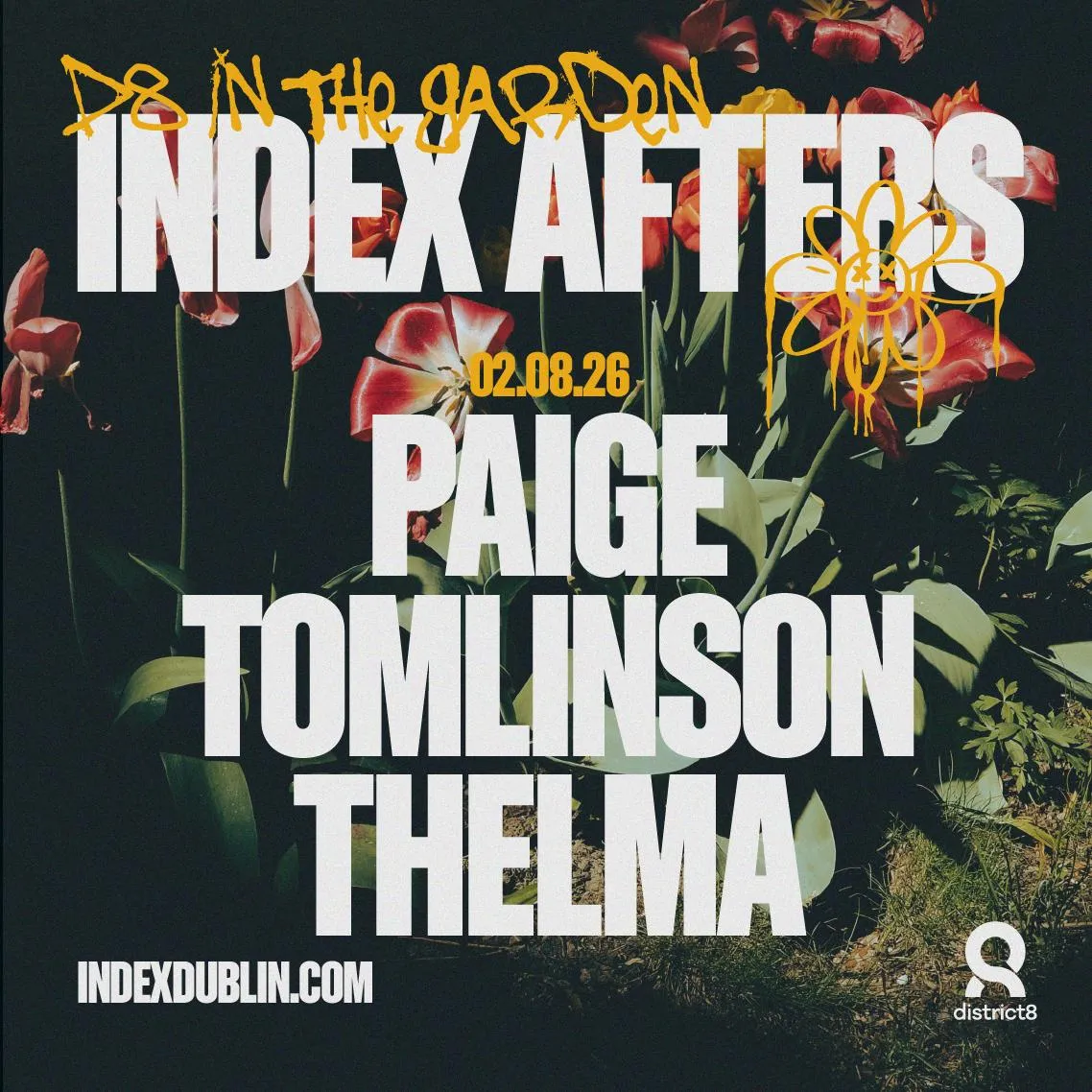 Index D8 Afters: Paige Tomlinson & Thelma