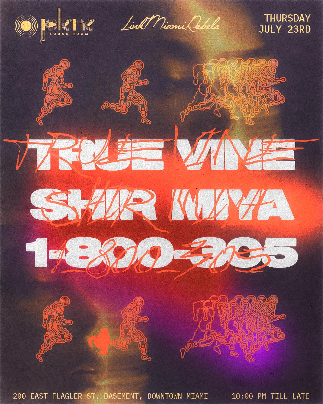 True Vine, Shir Miya, & 1-800-305