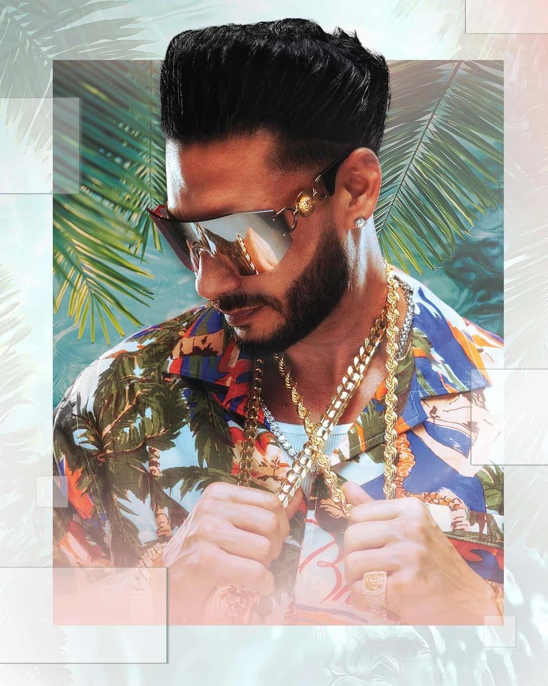 Dj Pauly D